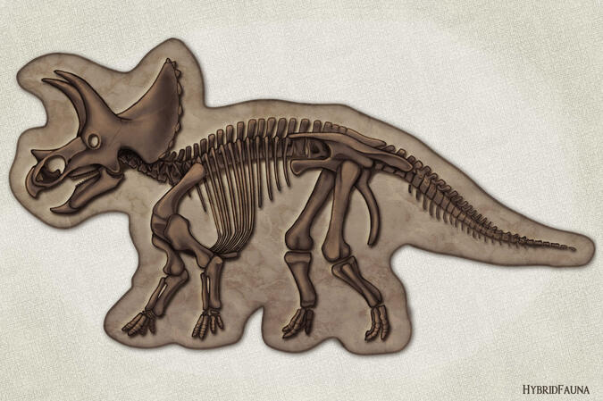 Triceratops Skeleton