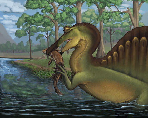 Spinosaurus with Lungfish
